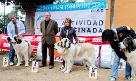 fotogallery