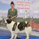 Altoaragon Dalida - World Dog Show 2016 - Mosca